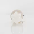 Productpic-HB-JNCP-12W-B22-3