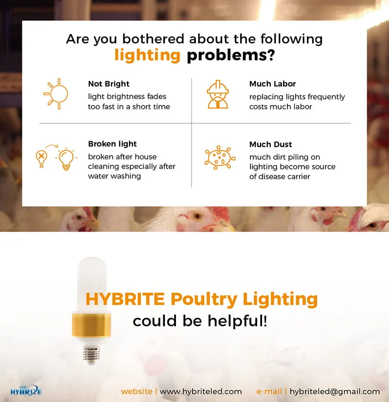 poultry-led-lighting-farm-chicken-luminacion-dustproof-layer-lamparas-lighting-color-tech-broiler-avicola-800px