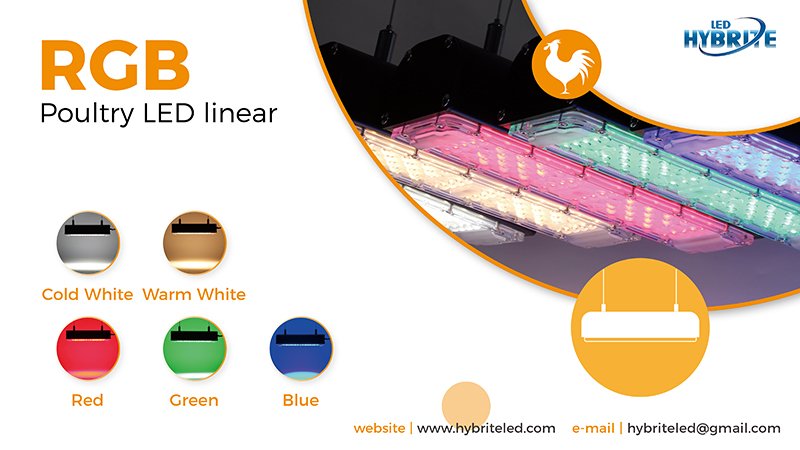 poultry-led-lighting-linear-waterproof-rgb-color-chicken-tri-proof-lighting-agriculture