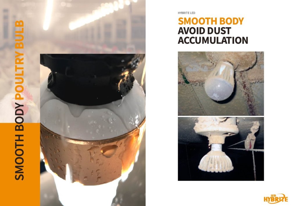 waterproof-poultrylighting-smooth-body-poultryshed-poultryhouse-hatchery-equipment-livestock-agriculture-farming-poultryhouseconstruction-egg-linear waterproof-poultrylighting-smooth-body-poultryshed-poultryhouse-hatchery-equipment-livestock-agriculture-farming-poultryhouseconstruction-egg-linear